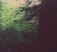 Additional Request Muses (Scott Lang, Tav etc)